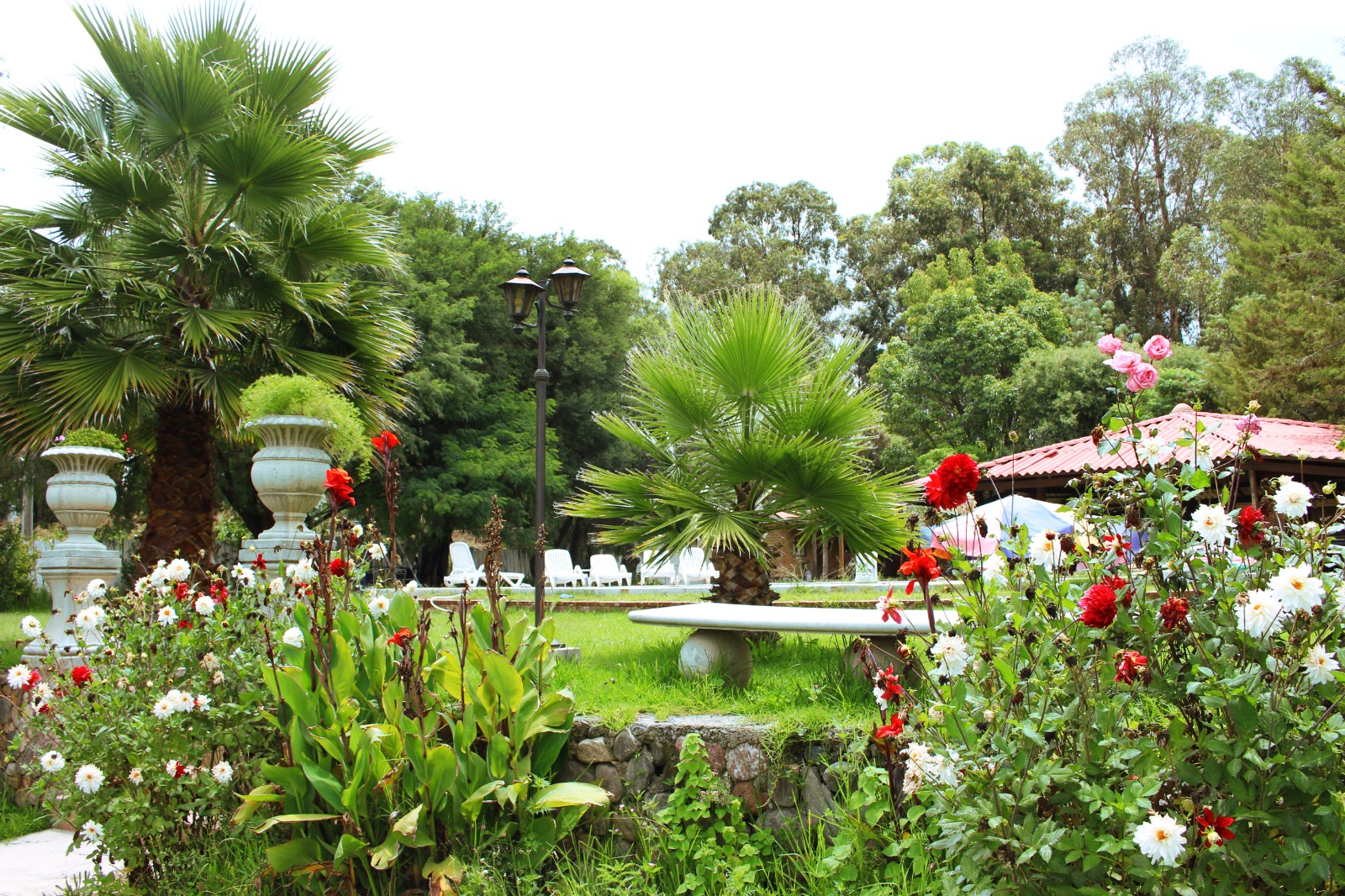Jardín con flores